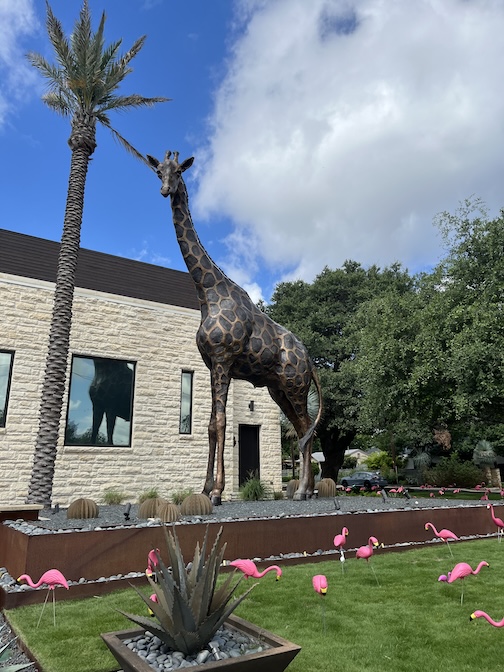 Warren Wildlife Gallery