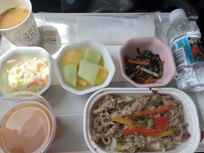 Economy class meal