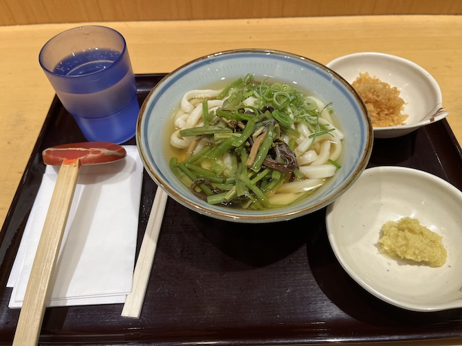 Udon at Kineya Mugimaru Narita International Airport 1T