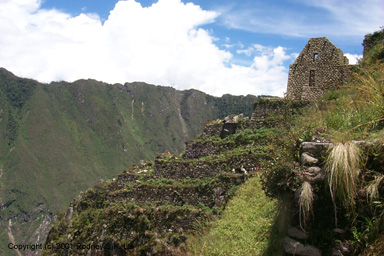 Building and terraces on Huayna Picchu