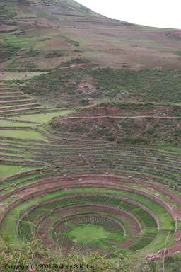 Moray experimental agricultural terraces