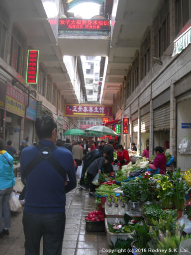 Zhuanxin Market