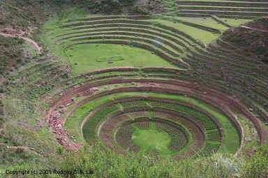 Moray experimental agricultural terraces