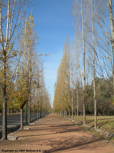 Avenida Libertador - Parque General San Martin